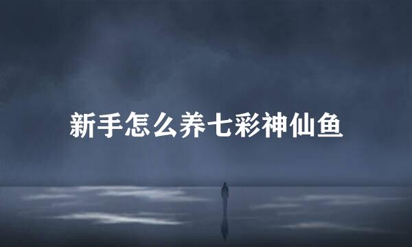 新手怎么养七彩神仙鱼