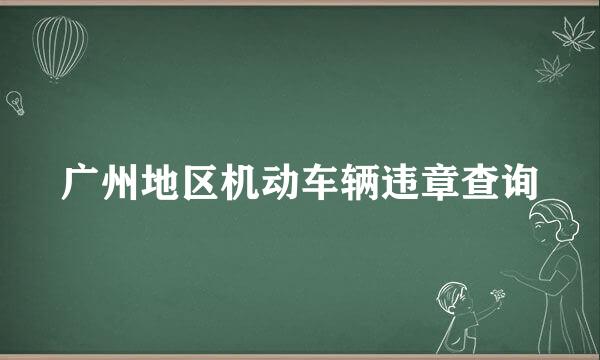 广州地区机动车辆违章查询