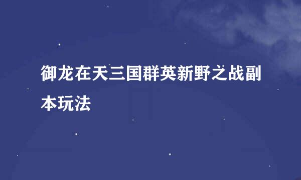 御龙在天三国群英新野之战副本玩法