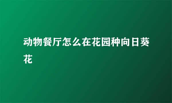 动物餐厅怎么在花园种向日葵花