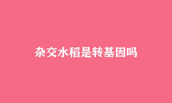 杂交水稻是转基因吗