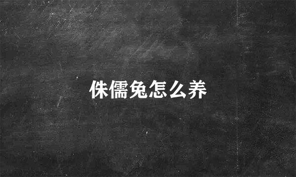 侏儒兔怎么养