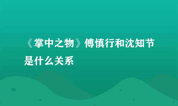 《掌中之物》傅慎行和沈知节是什么关系
