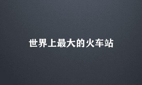 世界上最大的火车站