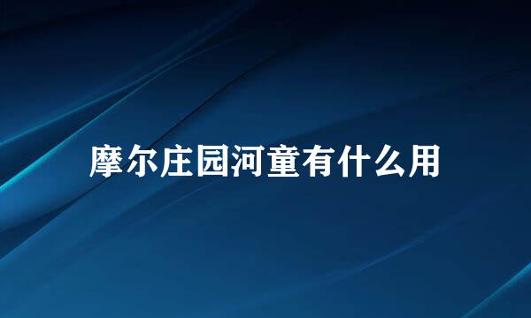摩尔庄园河童有什么用