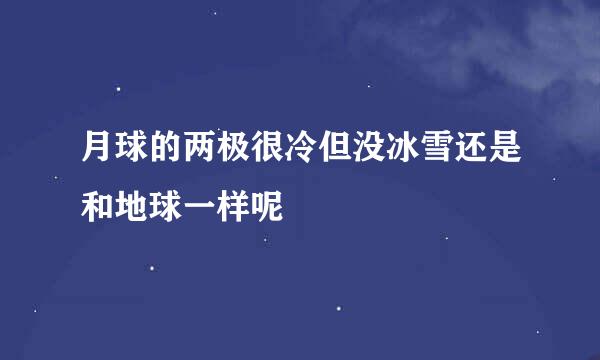 月球的两极很冷但没冰雪还是和地球一样呢