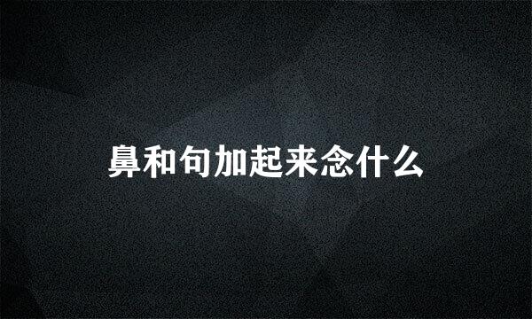 鼻和句加起来念什么