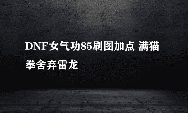 DNF女气功85刷图加点 满猫拳舍弃雷龙