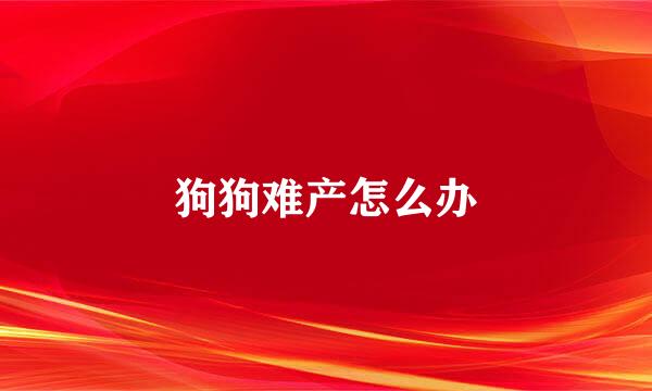 狗狗难产怎么办