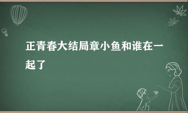 正青春大结局章小鱼和谁在一起了