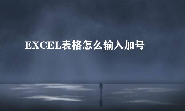 EXCEL表格怎么输入加号