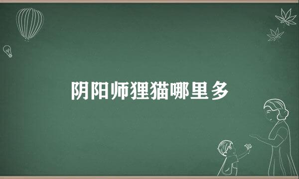 阴阳师狸猫哪里多