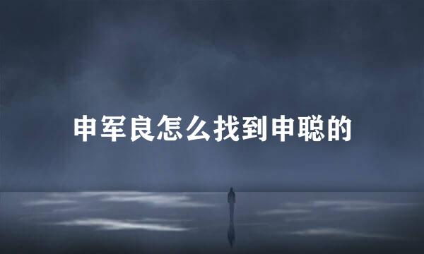 申军良怎么找到申聪的