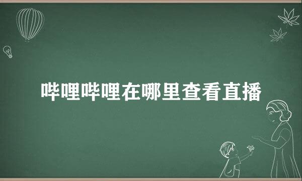 哔哩哔哩在哪里查看直播