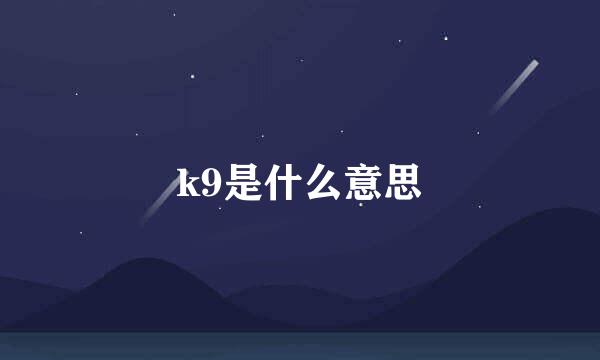 k9是什么意思