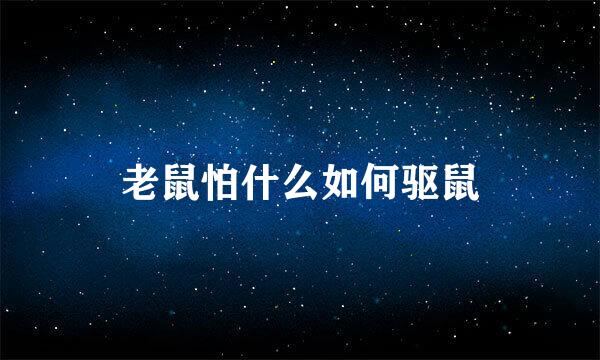 老鼠怕什么如何驱鼠