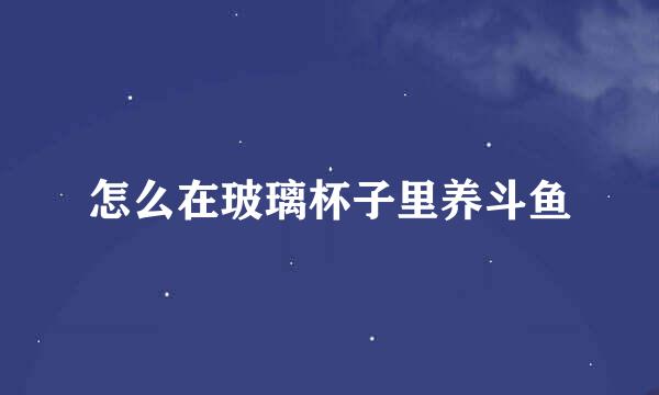 怎么在玻璃杯子里养斗鱼
