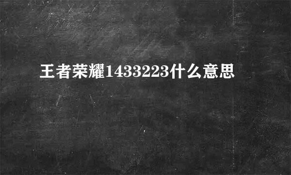 王者荣耀1433223什么意思
