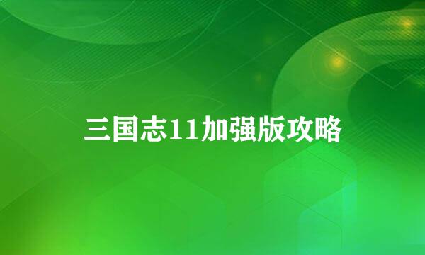 三国志11加强版攻略