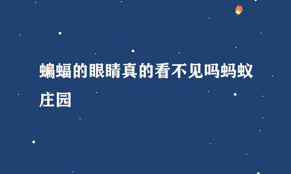 蝙蝠的眼睛真的看不见吗蚂蚁庄园