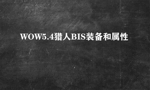 WOW5.4猎人BIS装备和属性