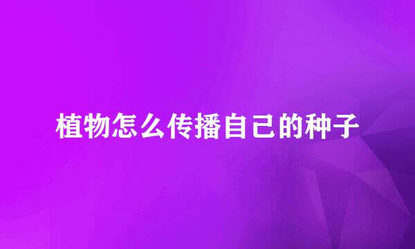 植物怎么传播自己的种子
