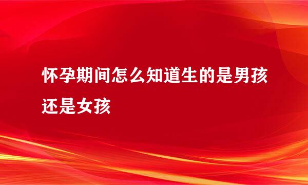 怀孕期间怎么知道生的是男孩还是女孩