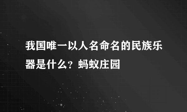 我国唯一以人名命名的民族乐器是什么？蚂蚁庄园