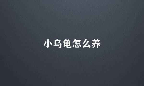 小乌龟怎么养