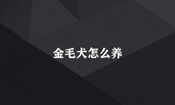 金毛犬怎么养