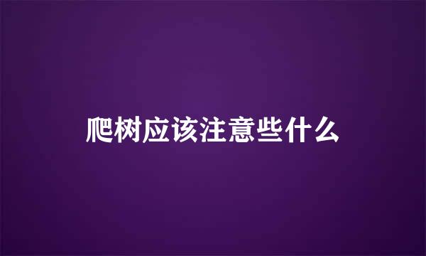 爬树应该注意些什么