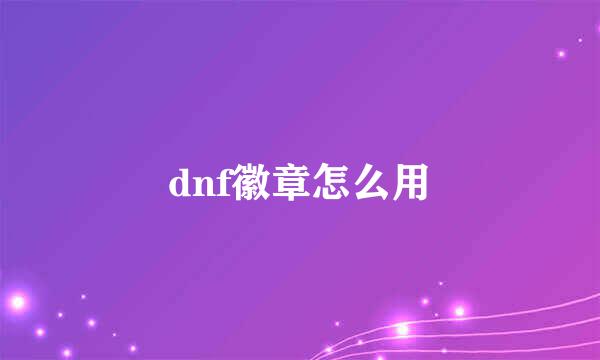 dnf徽章怎么用