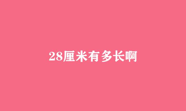 28厘米有多长啊