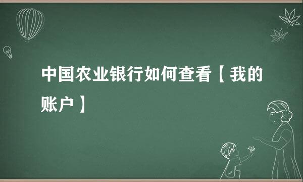 中国农业银行如何查看【我的账户】