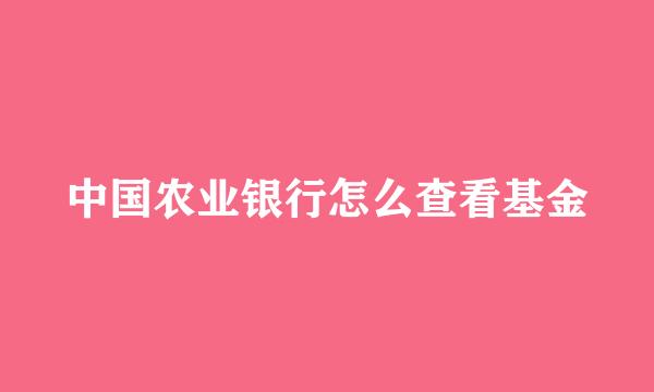 中国农业银行怎么查看基金