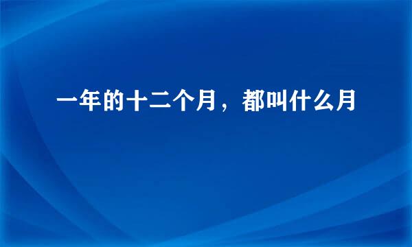 一年的十二个月，都叫什么月