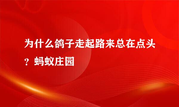 为什么鸽子走起路来总在点头？蚂蚁庄园