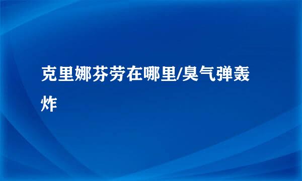 克里娜芬劳在哪里/臭气弹轰炸