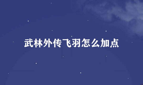 武林外传飞羽怎么加点