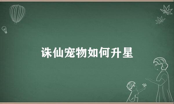 诛仙宠物如何升星