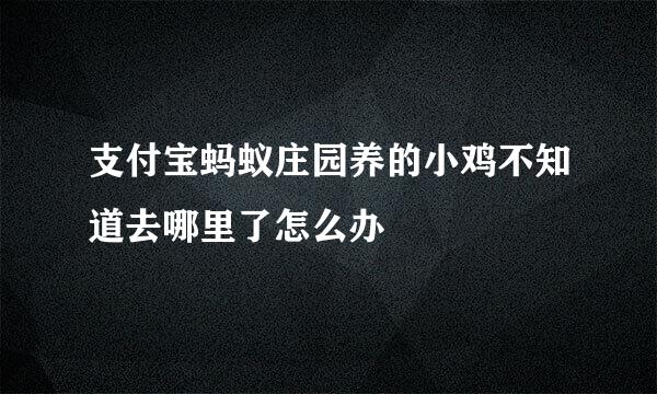 支付宝蚂蚁庄园养的小鸡不知道去哪里了怎么办