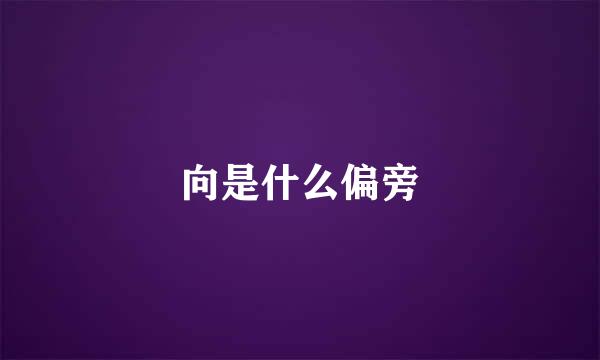向是什么偏旁