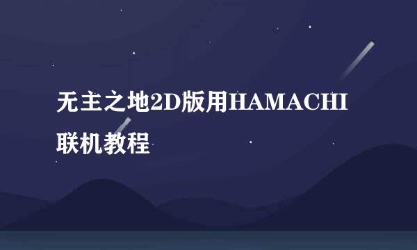 无主之地2D版用HAMACHI联机教程