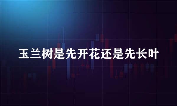 玉兰树是先开花还是先长叶