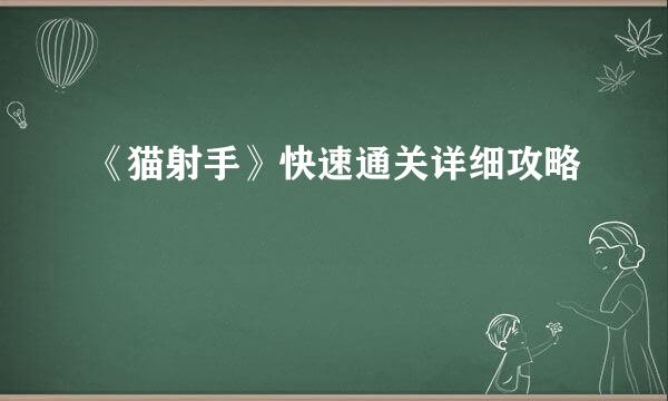 《猫射手》快速通关详细攻略