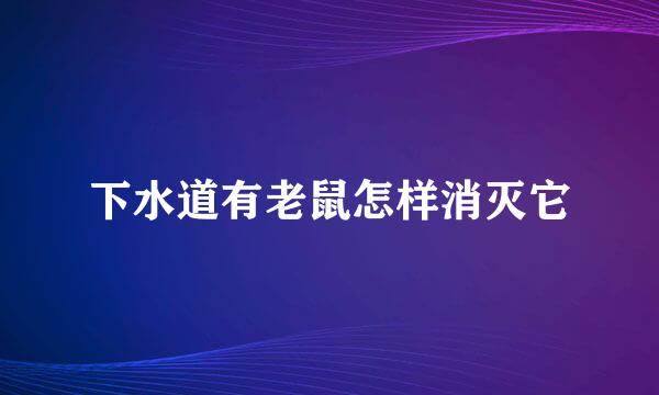 下水道有老鼠怎样消灭它