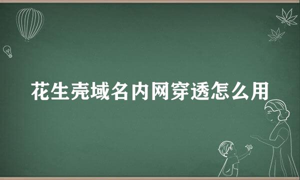 花生壳域名内网穿透怎么用
