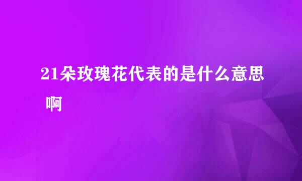 21朵玫瑰花代表的是什么意思 啊