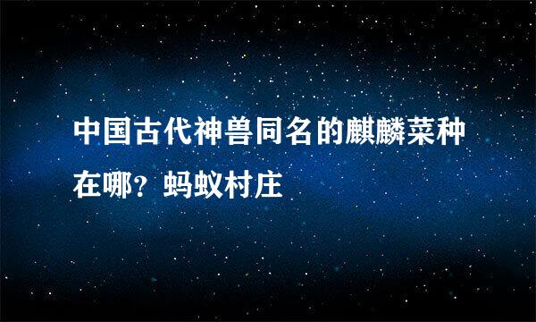 中国古代神兽同名的麒麟菜种在哪？蚂蚁村庄
