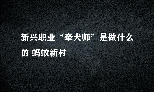 新兴职业“牵犬师”是做什么的 蚂蚁新村